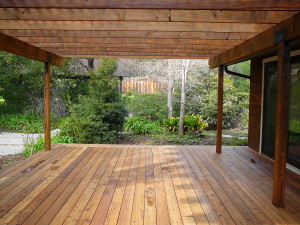 Deck and trellis after cleaning and preserving