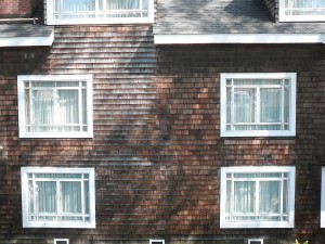 Shingle siding before refinishing