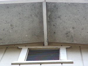 Eaves with mold