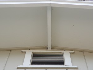 Eaves without mold