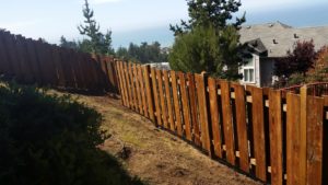 Redwood after before restoring