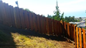 Redwood after before restoring