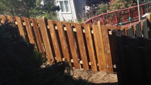 Redwood after before restoring