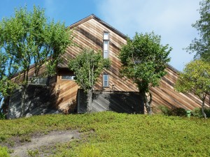 Redwood walls before cleaning and treating