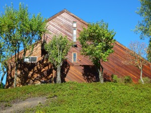 Redwood walls after cleaning and treating