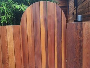 Redwood fence after staining