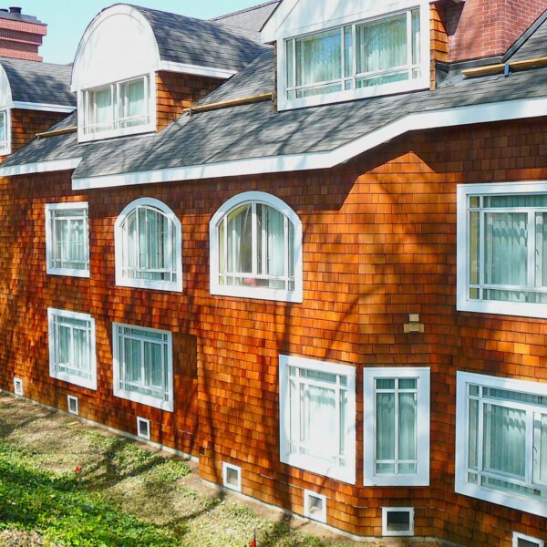 Shingle Siding