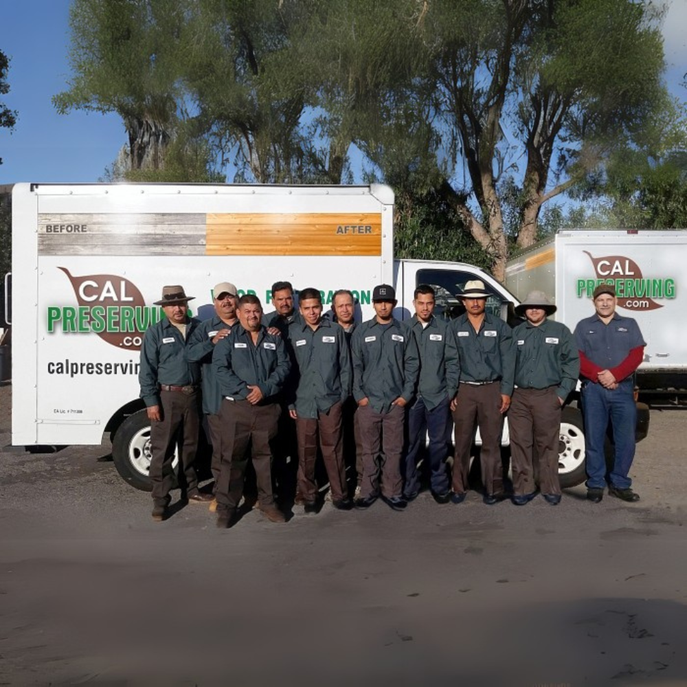 Our Technicians