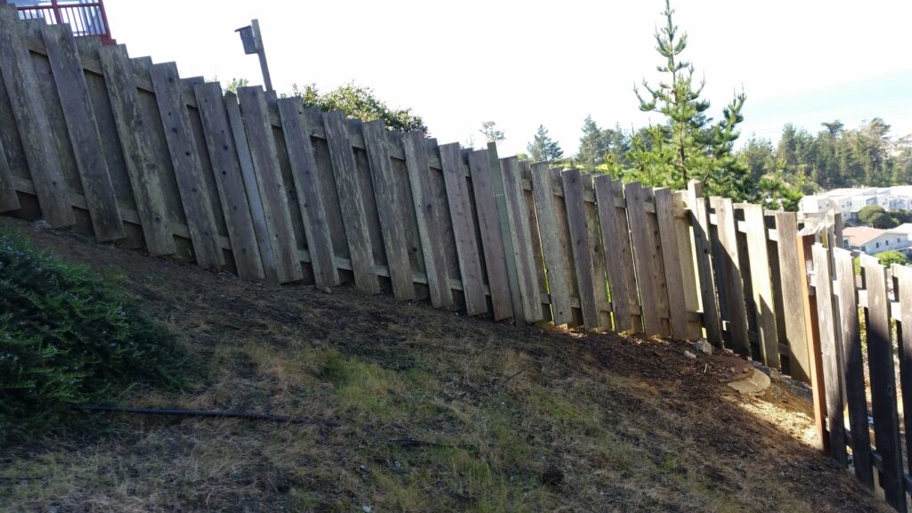 Redwood fence before restoring