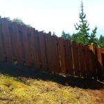 Redwood after before restoring