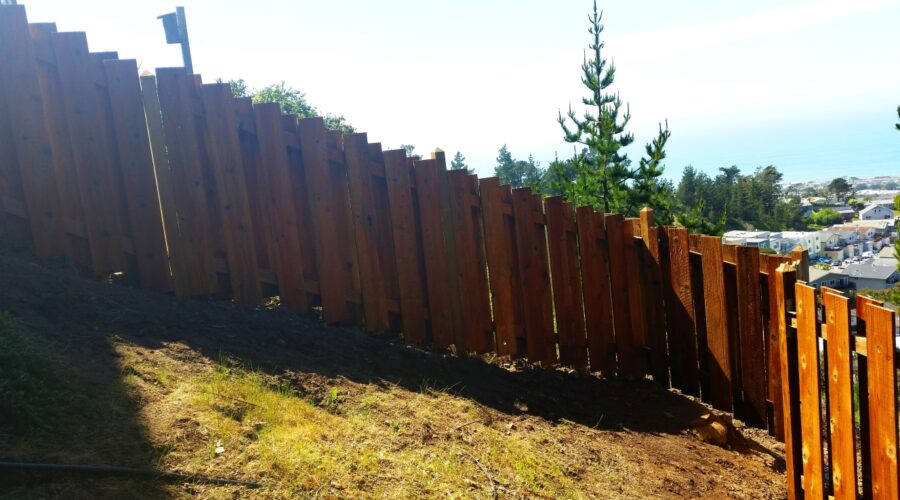 Redwood after before restoring