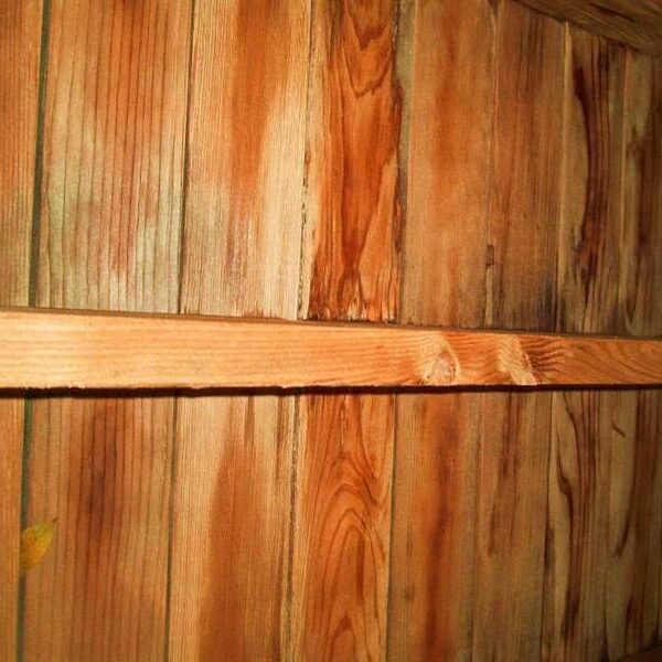 Bottom of Decks