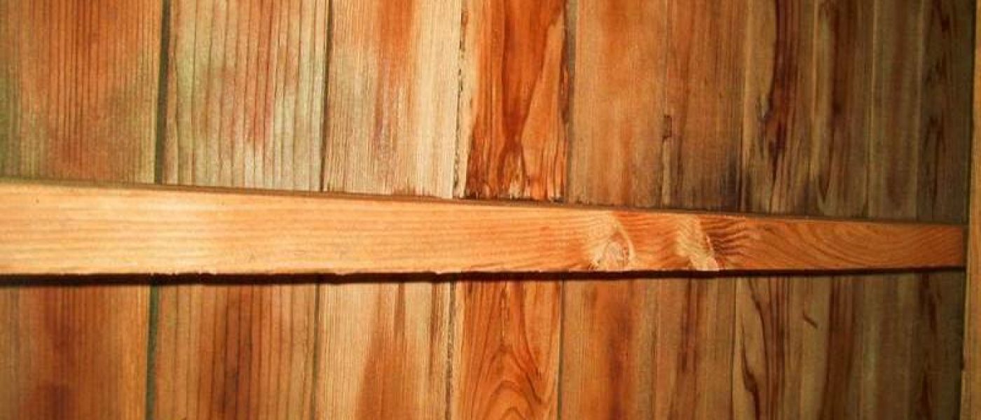 Bottom of the deck without fungus